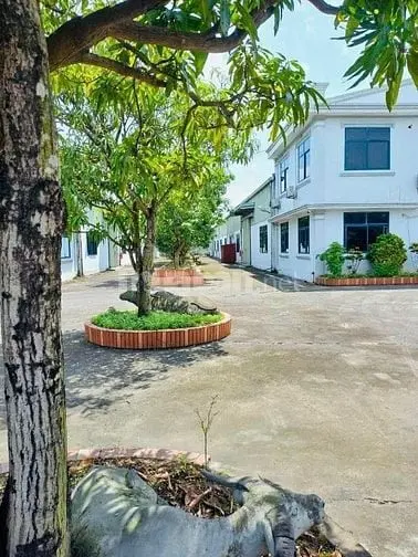 🏭 Bán Nhà Máy + Đất 9.907M² Ngay Trung Tâm Tp. Nam Định 🌟