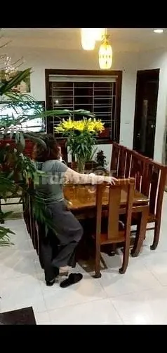 6036283 ảnh đại diện 1