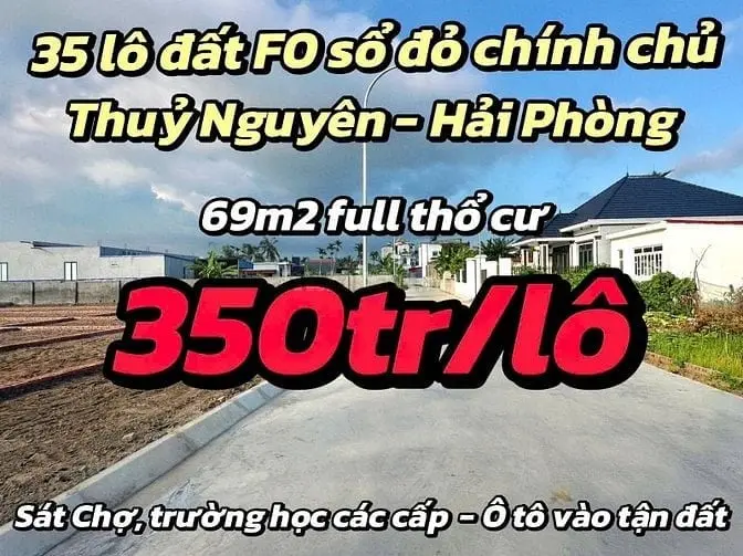 6036186 ảnh đại diện 1