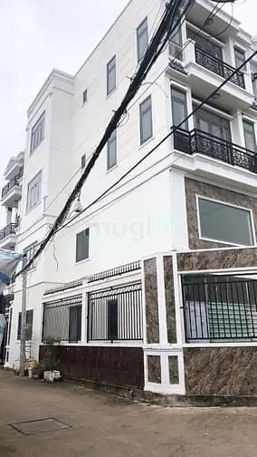 6036834 ảnh đại diện 1