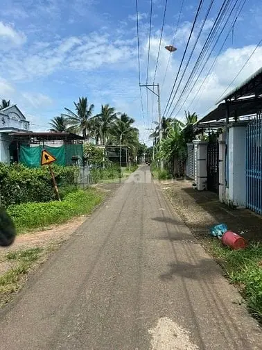 6036600 ảnh đại diện 1