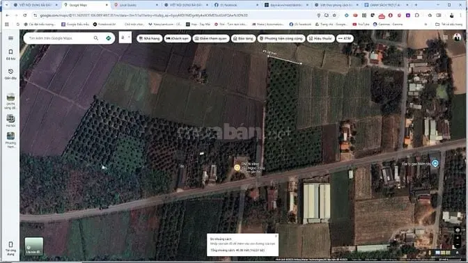 Không Người Chăm Sóc - Chính Chủ Cần Bán Đất Vườn Sầu Riêng