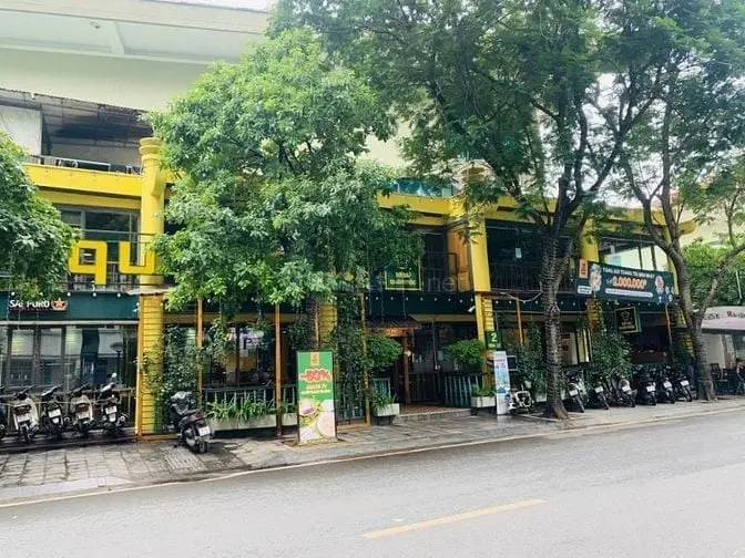 6036865 ảnh đại diện 1