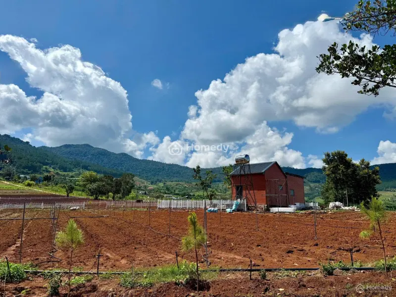 Đất Ven Đà Lạt Giá Chỉ 620 Triệu, Shr, View Đồi Thông Mát Mẻ