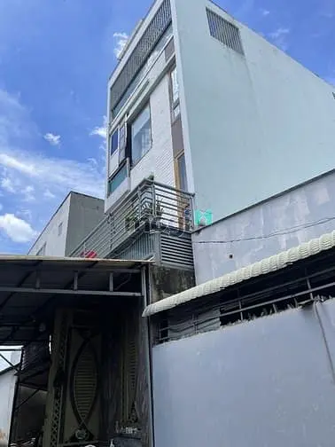 6036831 ảnh đại diện 1