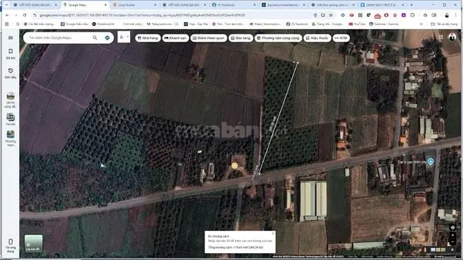 6036763 ảnh đại diện 1