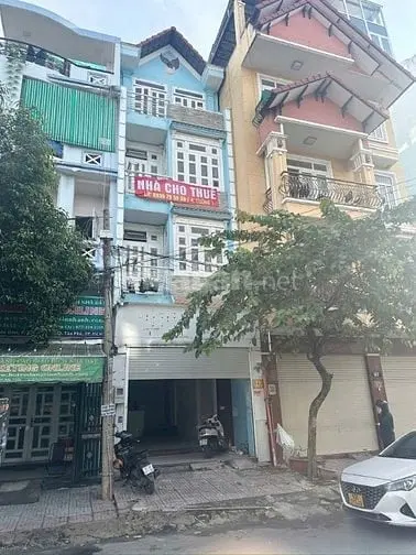 6036813 ảnh đại diện 1