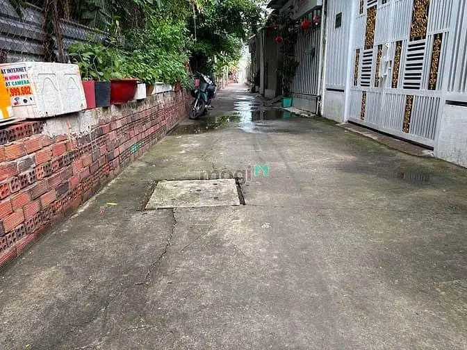 6036974 ảnh đại diện 1