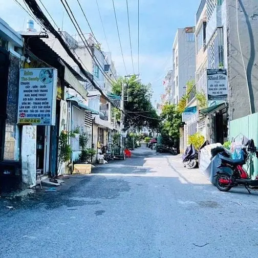 6036743 ảnh đại diện 1