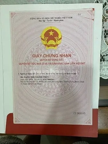 6036774 ảnh đại diện 1