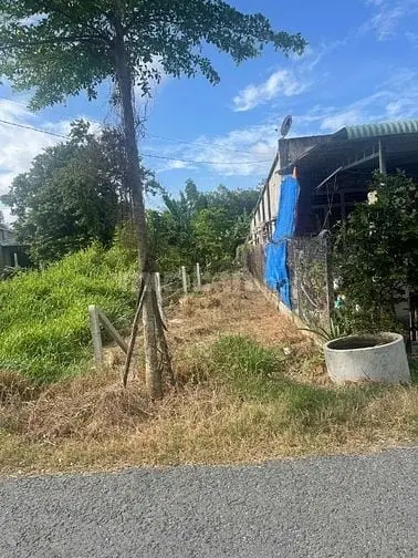 6036707 ảnh đại diện 1