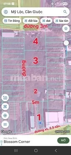 6036684 ảnh đại diện 1