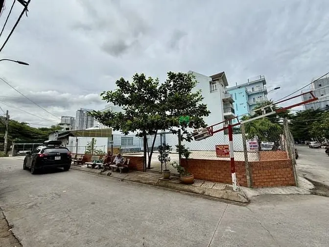 6036942 ảnh đại diện 1