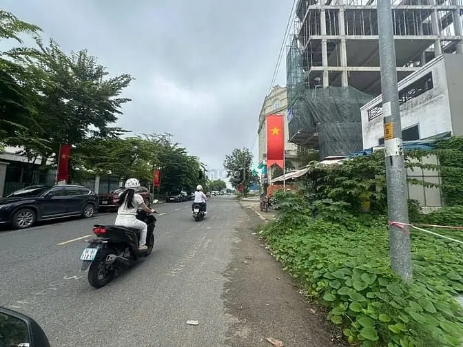 6036592 ảnh đại diện 1