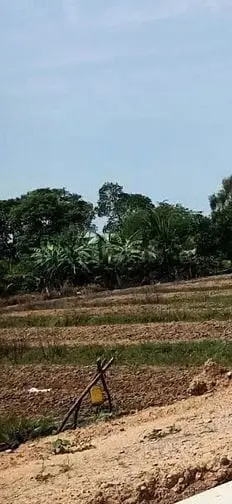 Bán 3,300M2 Đất, T Vườn, Đường Xe Máy, An Thới Đông, Cần Giờ