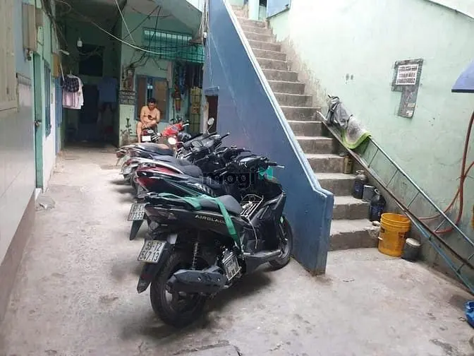 6036938 ảnh đại diện 1