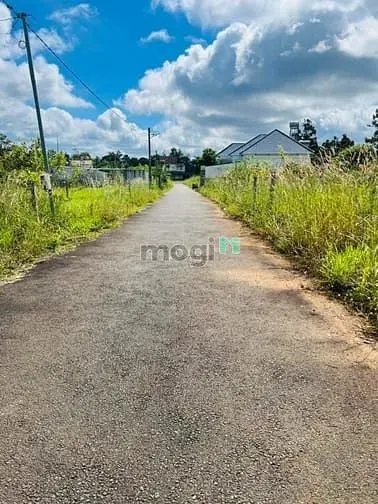 6036526 ảnh đại diện 1