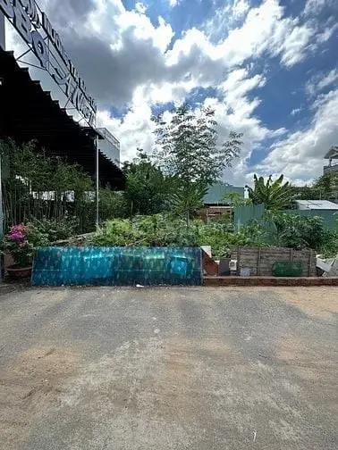 6036870 ảnh đại diện 1