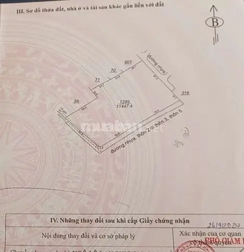 6036746 ảnh đại diện 1
