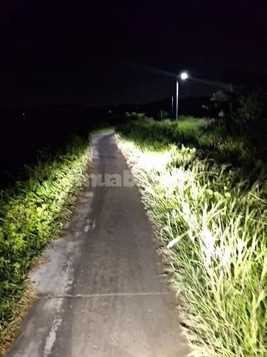 Bán 3,300M2 Đất, T Vườn, Đường Xe Máy, An Thới Đông, Cần Giờ
