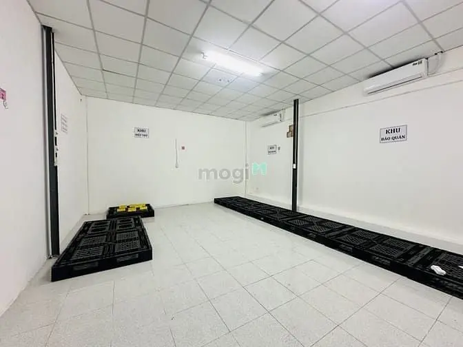 6036729 ảnh đại diện 1