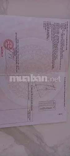 Cần Bán Đất Dư, Không Người Ở