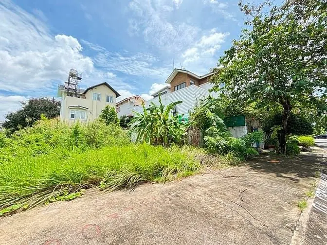 6036943 ảnh đại diện 1