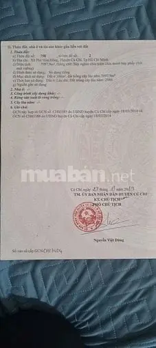 6036951 ảnh đại diện 1