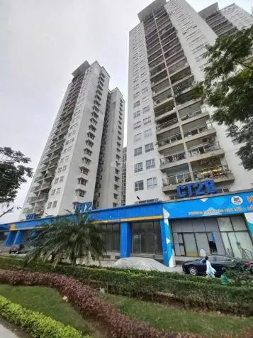 6036531 ảnh đại diện 1