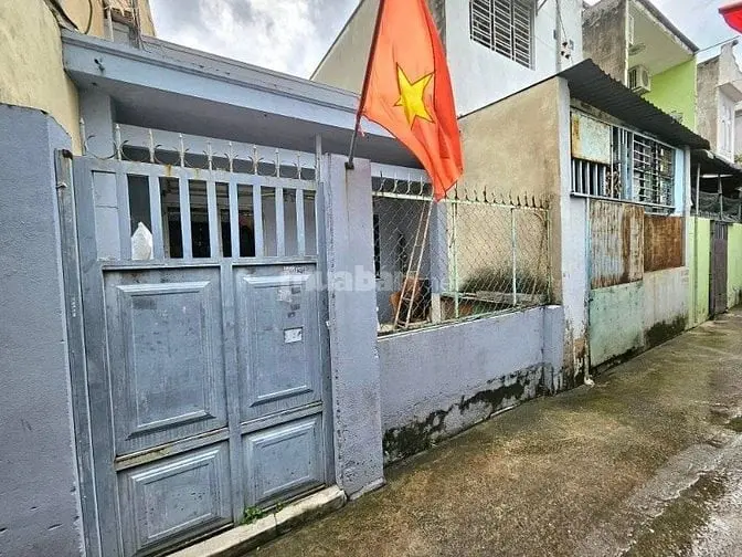 6036994 ảnh đại diện 1