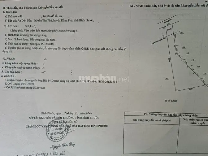 Cơ Hội Đầu Tư Đất Tt Ở Đồng Phú Trong Tầm Tay