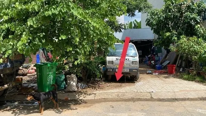 6036835 ảnh đại diện 1