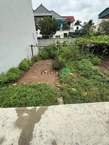 6036853 ảnh đại diện 1