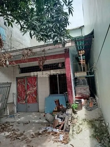 6036995 ảnh đại diện 1