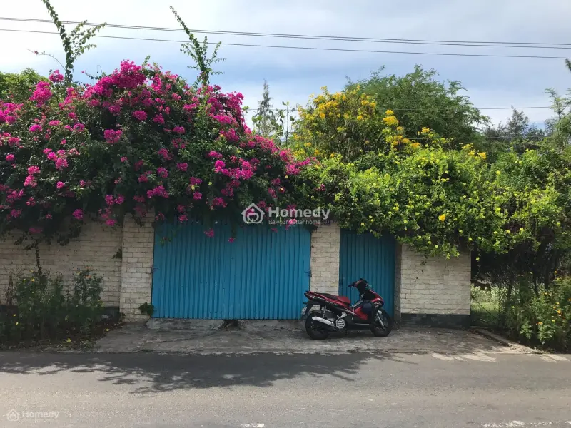 Lựa Chọn 8 Lô Đất Đẹp Lạc Long Quân, Tiến Thành, Phan Thiết (9/2025)