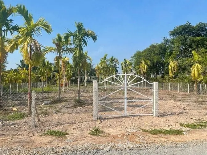 6036683 ảnh đại diện 1