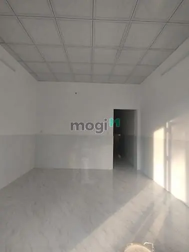 6036640 ảnh đại diện 1