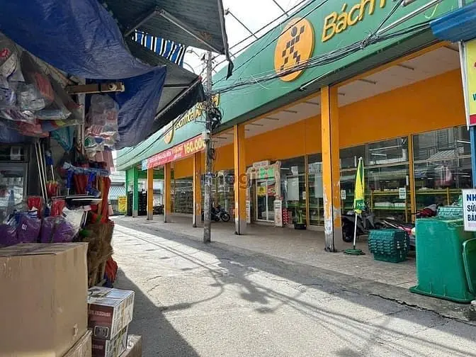 6036565 ảnh đại diện 1