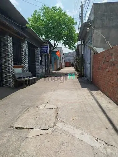 6036638 ảnh đại diện 1