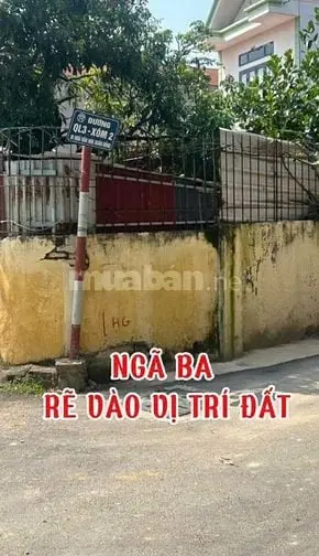 Chính Chủ Cần Bán Lô Đất Tại Xuân Đồng, Tân Minh, Sóc Sơn, Hà Nội
