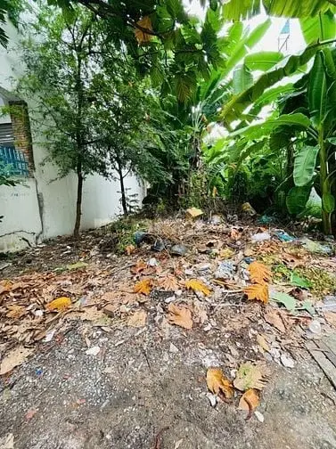 6036728 ảnh đại diện 1