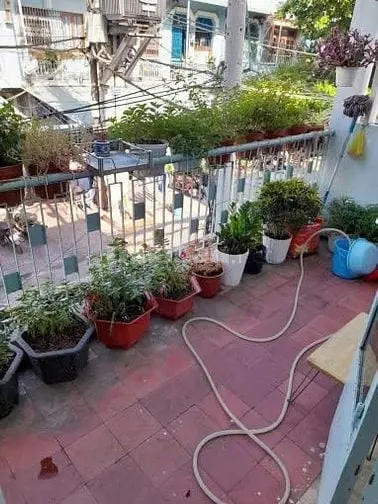 6036732 ảnh đại diện 1