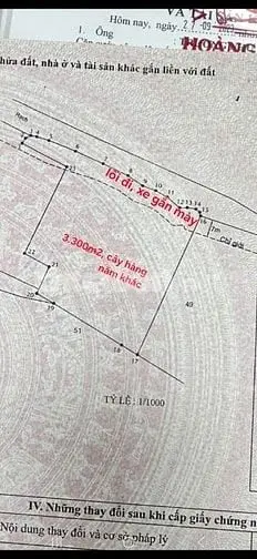 6036819 ảnh đại diện 1