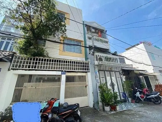6036790 ảnh đại diện 1