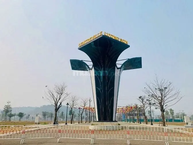 6036910 ảnh đại diện 1