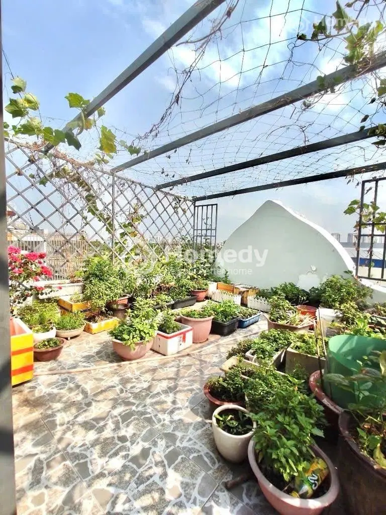 Nhà Phố 1 Hầm 3 Lầu – Sắp Ra Mặt Tiền Tiềm Năng Tăng Giá Cao- Lê Đức Thọ P15 Q Gò Vấp