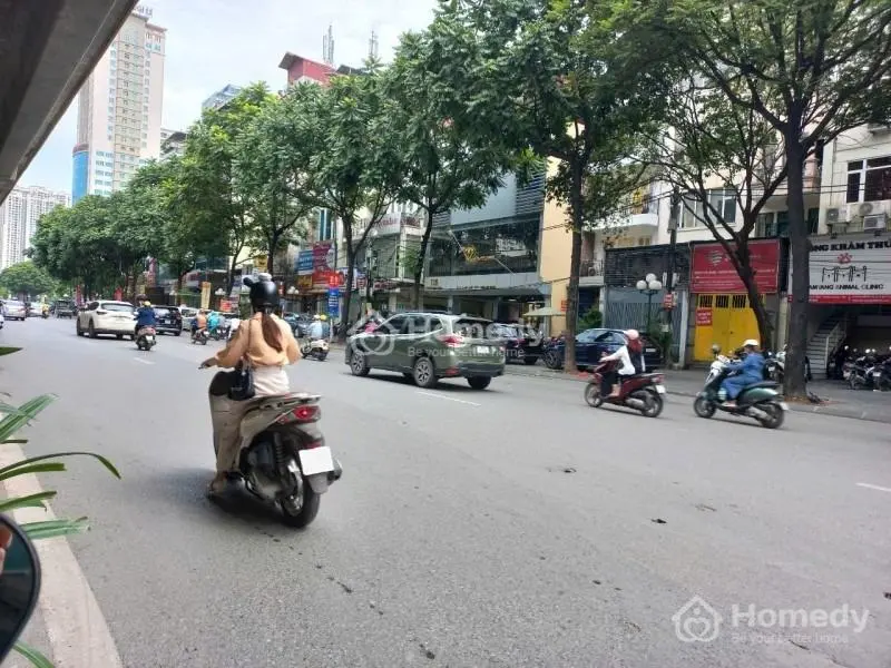 6036902 ảnh đại diện 1