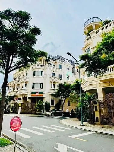 6036559 ảnh đại diện 1