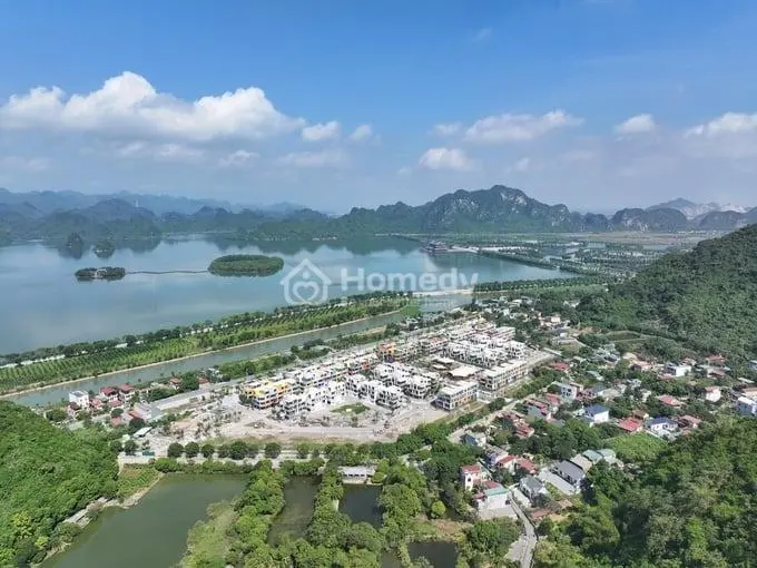 6036919 ảnh đại diện 1