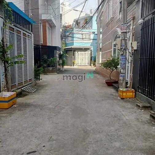 6036934 ảnh đại diện 1